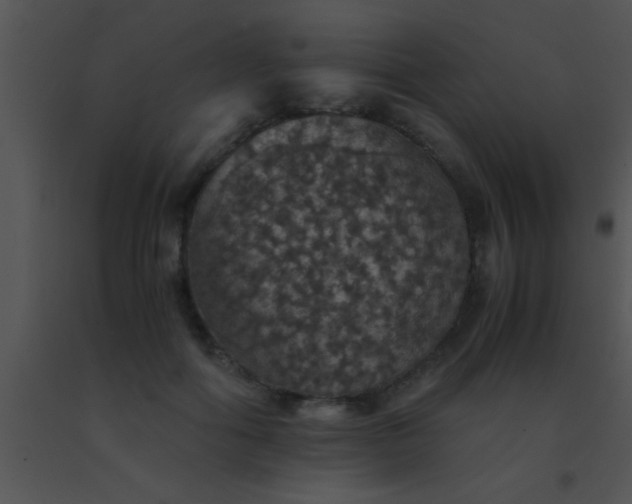 X0000091550602200708311356