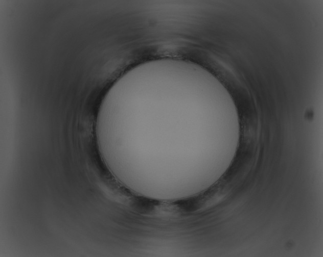 X0000091550603200708311356