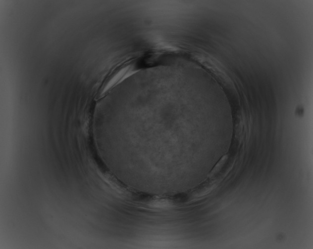 X0000091550604200708311356