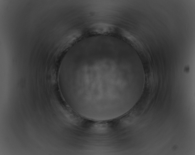 X0000091550606200708311356