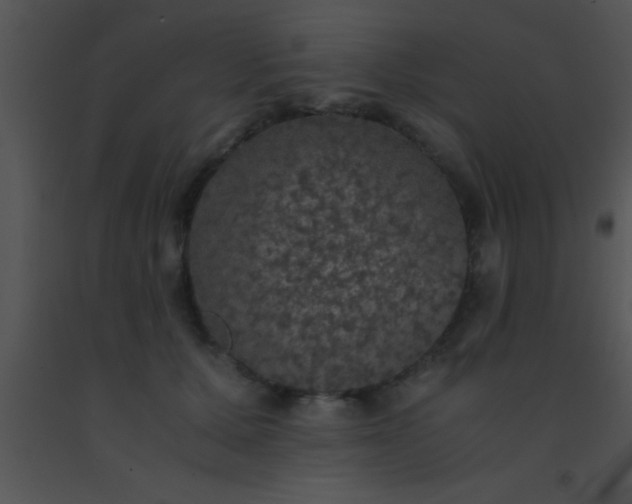 X0000091550607200708311356