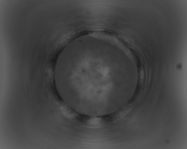 X0000091550609200708311356