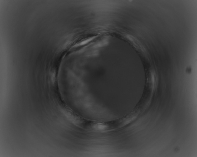 X0000091550610200708311356