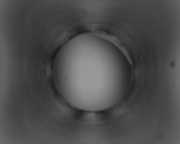 X0000091550611200708311356