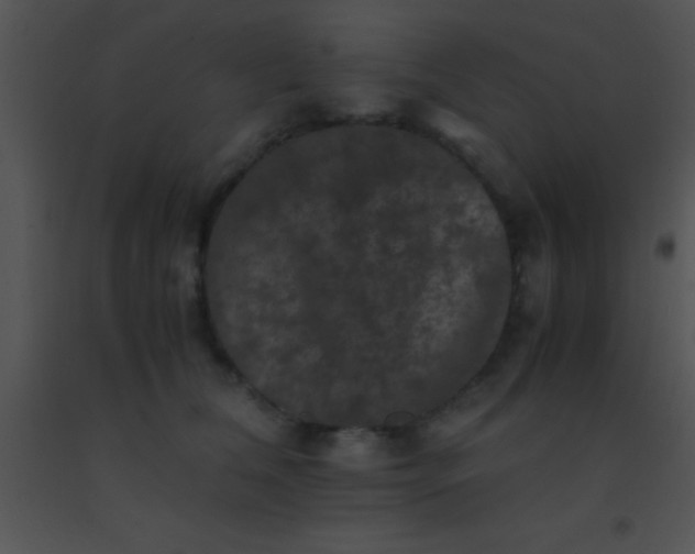 X0000091550612200708311356