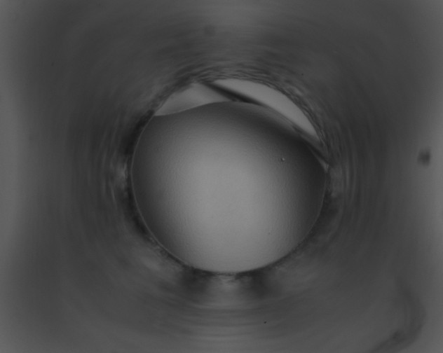 X0000091550613200708311356