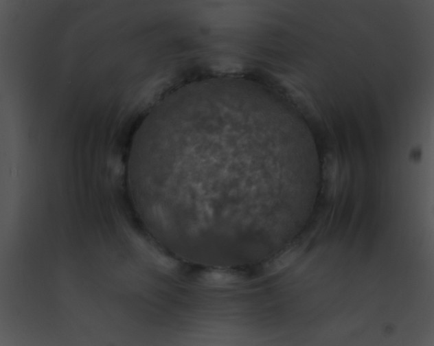 X0000091550614200708311356