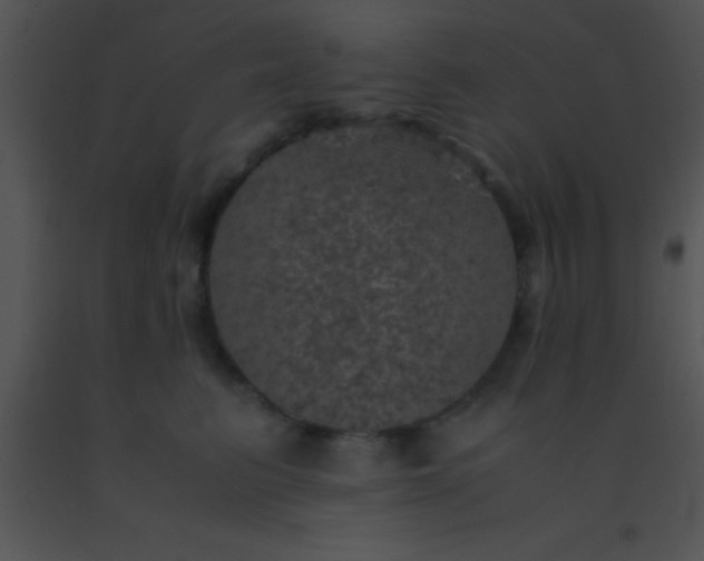 X0000091550615200708311356