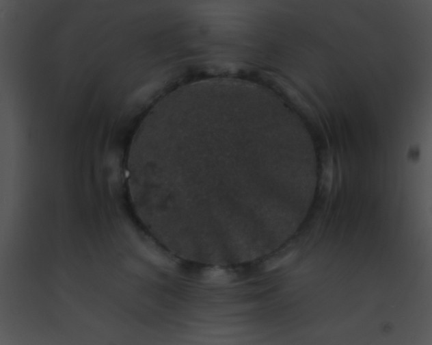 X0000091550616200708311356