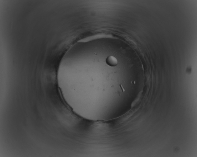 X0000091550617200708311356