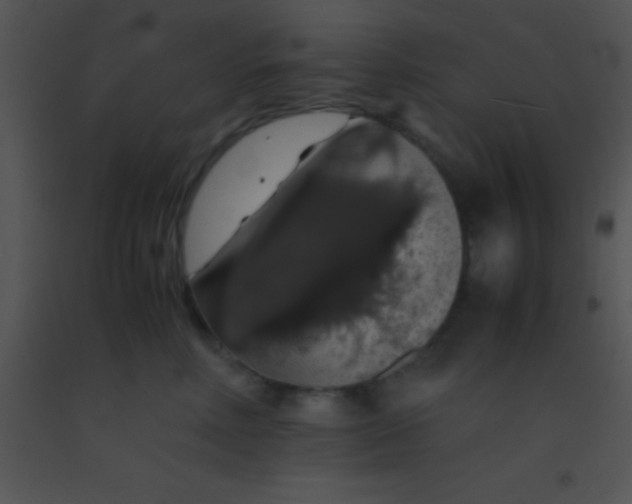X0000091550618200708311356
