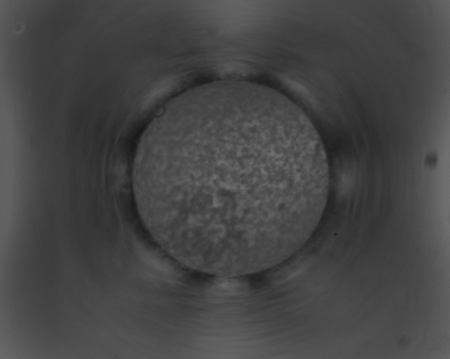 X0000091550619200708311356