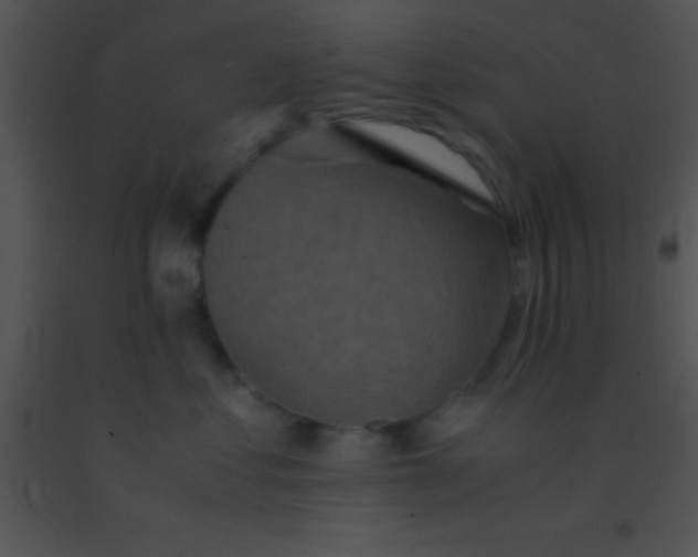 X0000091550621200708311356