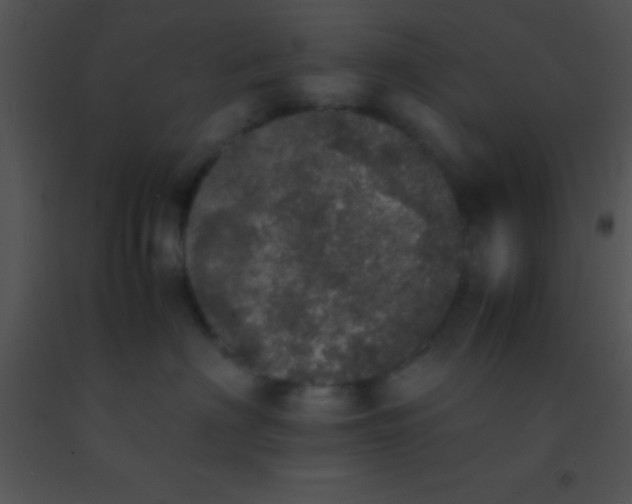X0000091550622200708311356