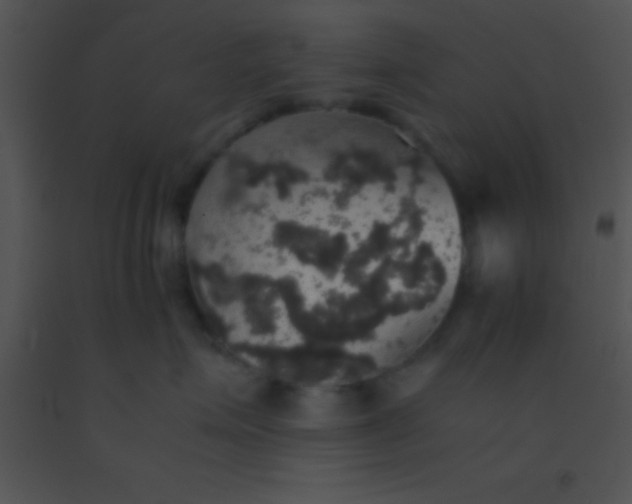 X0000091550623200708311356