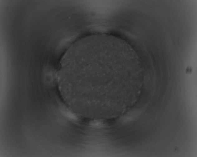 X0000091550624200708311356