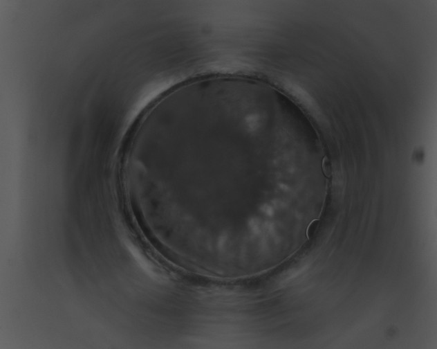 X0000091550626200708311355