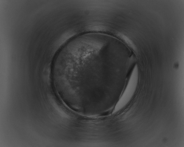 X0000091550627200708311355