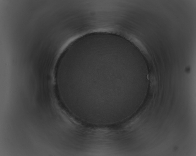 X0000091550628200708311355