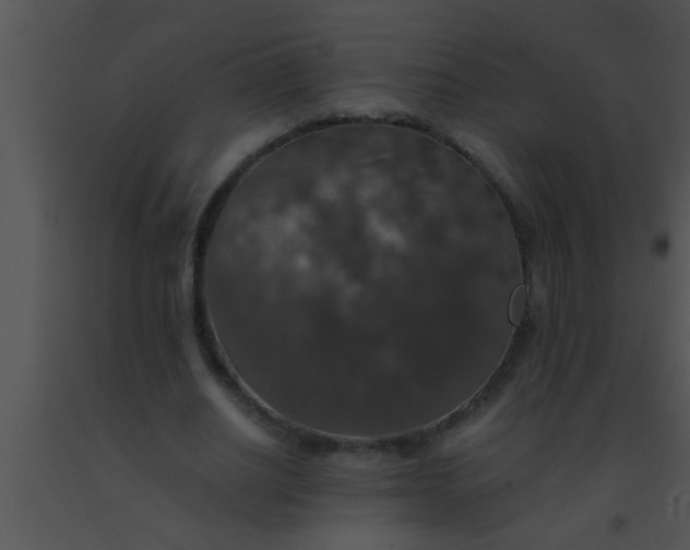 X0000091550630200708311355