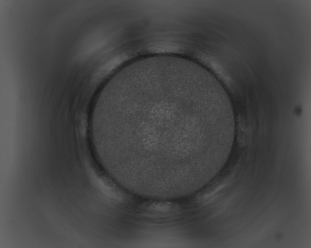 X0000091550631200708311355