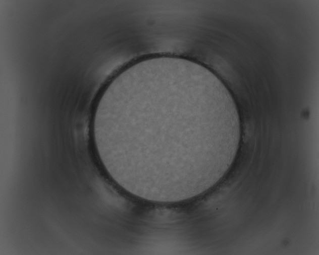 X0000091550632200708311355