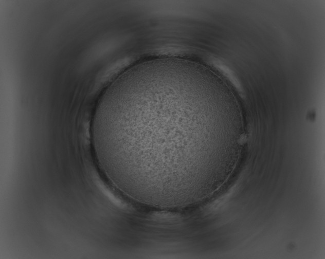 X0000091550633200708311355
