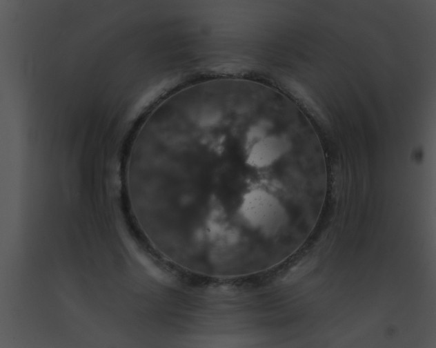 X0000091550634200708311355