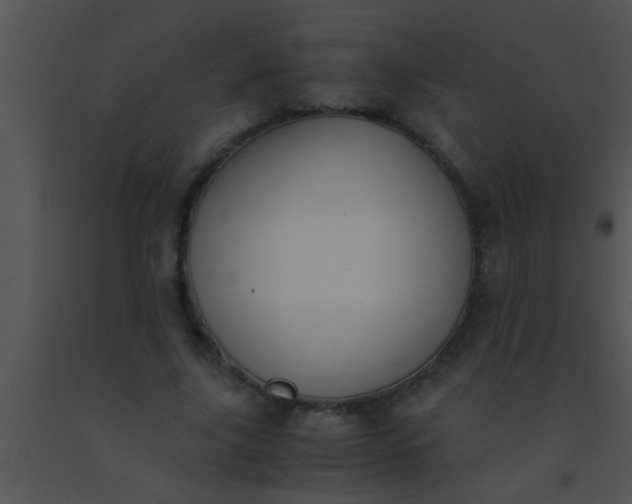 X0000091550635200708311355