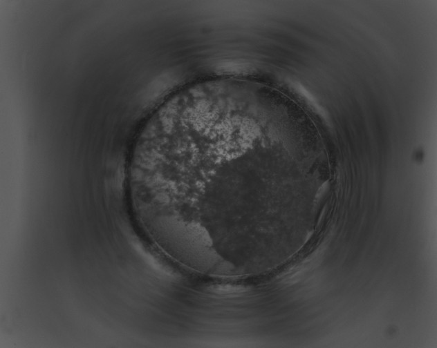 X0000091550637200708311355