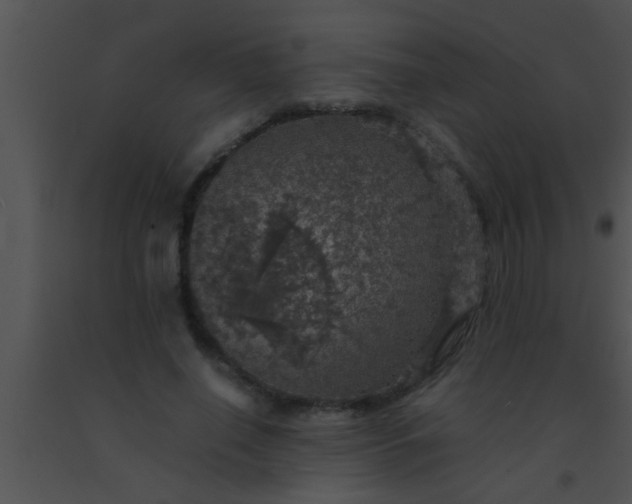 X0000091550638200708311355