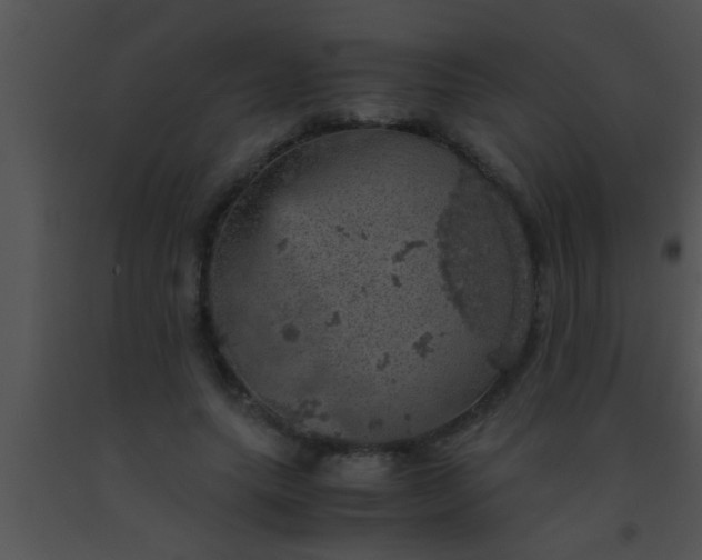 X0000091550639200708311355
