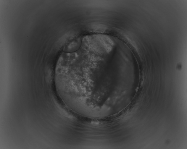 X0000091550641200708311355