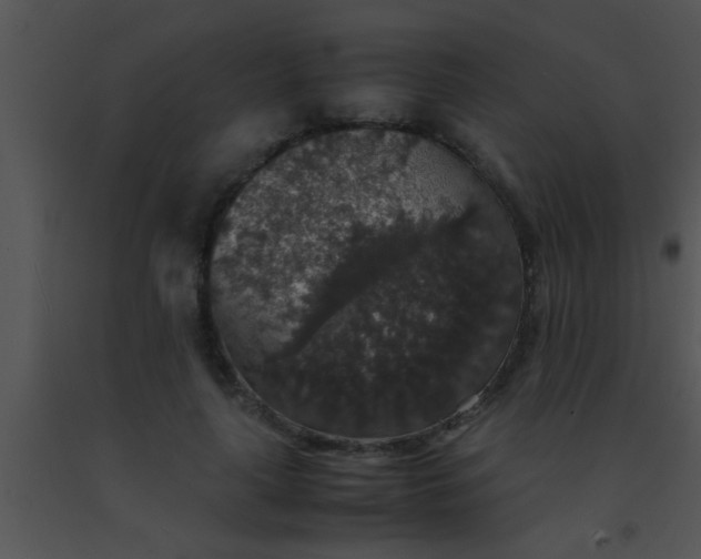 X0000091550643200708311355