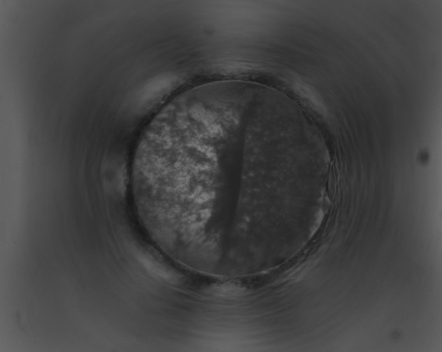 X0000091550644200708311355