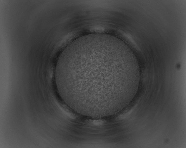 X0000091550645200708311355