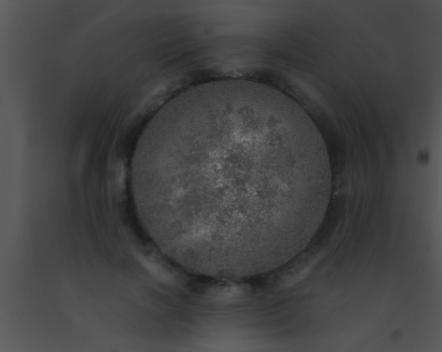 X0000091550646200708311355