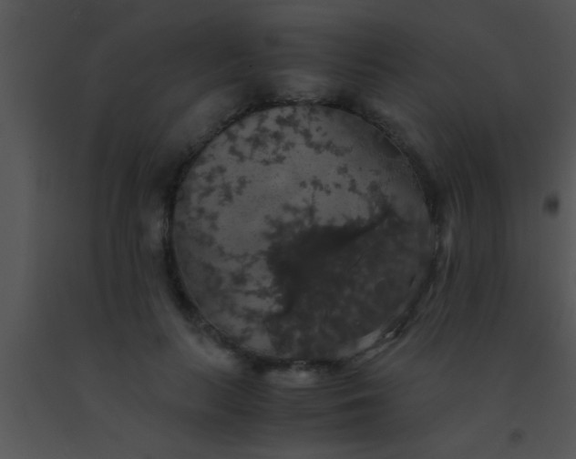 X0000091550647200708311355