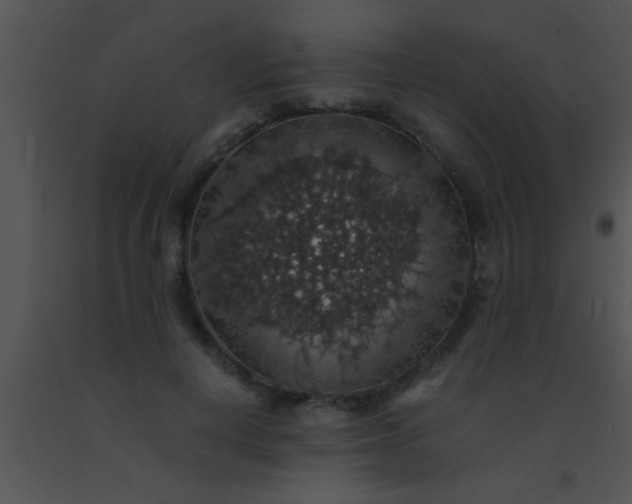 X0000091550648200708311355