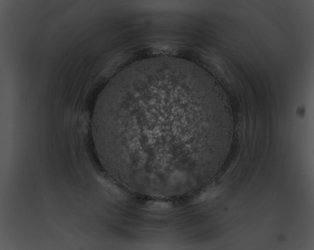 X0000091550649200708311355