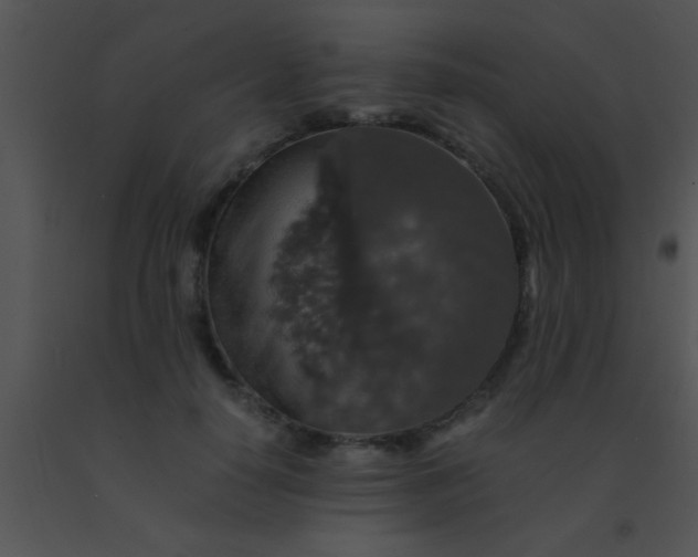 X0000091550650200708311355