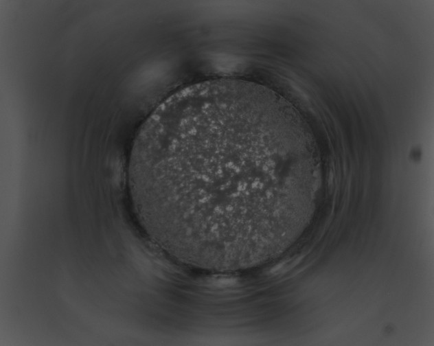 X0000091550651200708311355