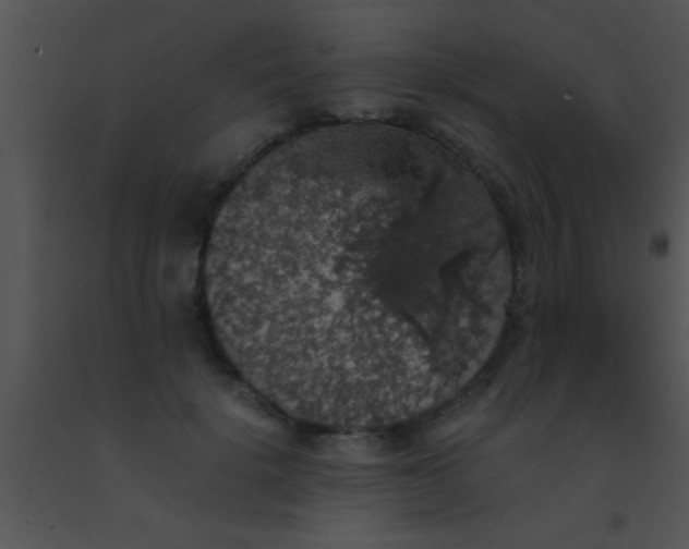 X0000091550652200708311355