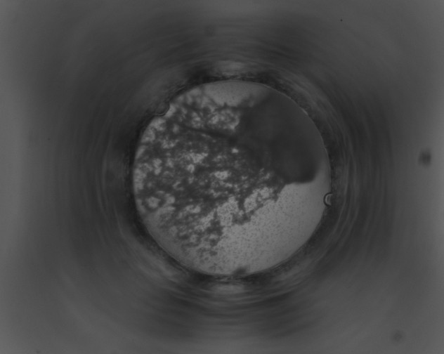 X0000091550653200708311355