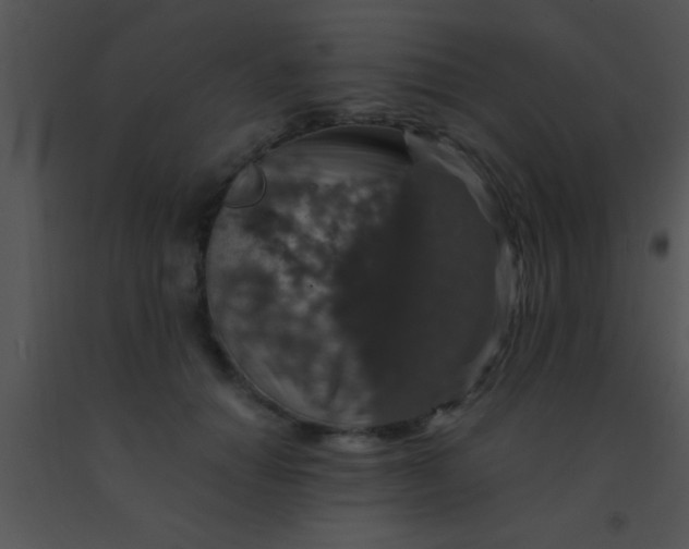 X0000091550654200708311355