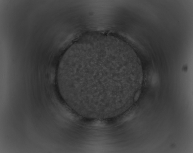 X0000091550656200708311355