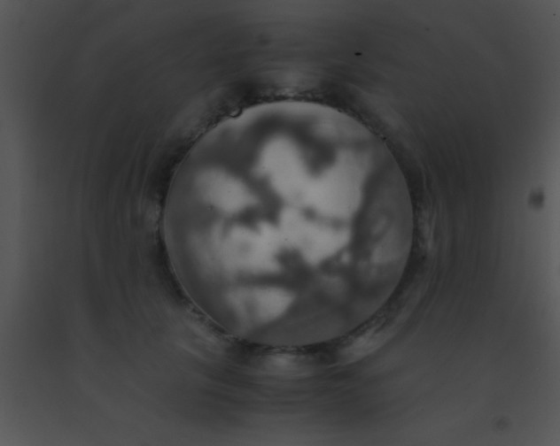 X0000091550657200708311355