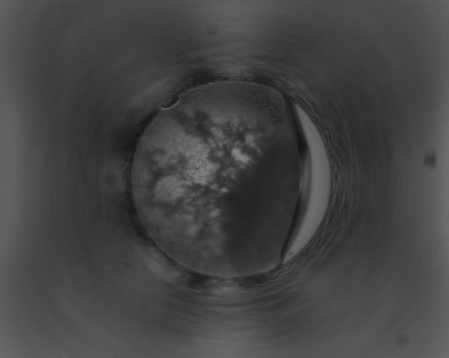 X0000091550658200708311355