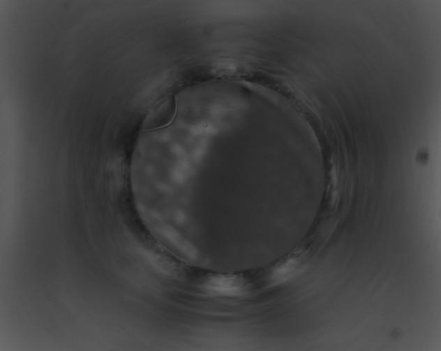 X0000091550659200708311355