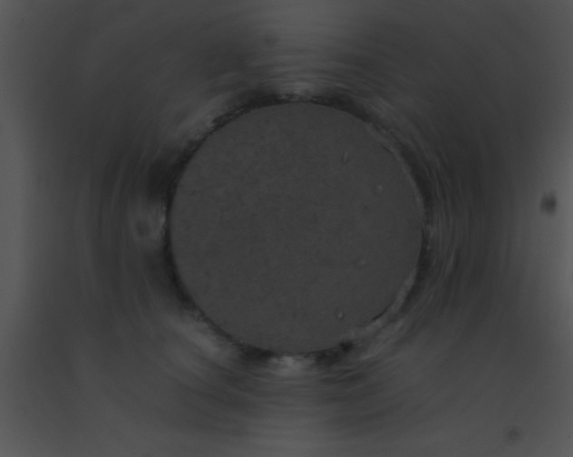 X0000091550660200708311355